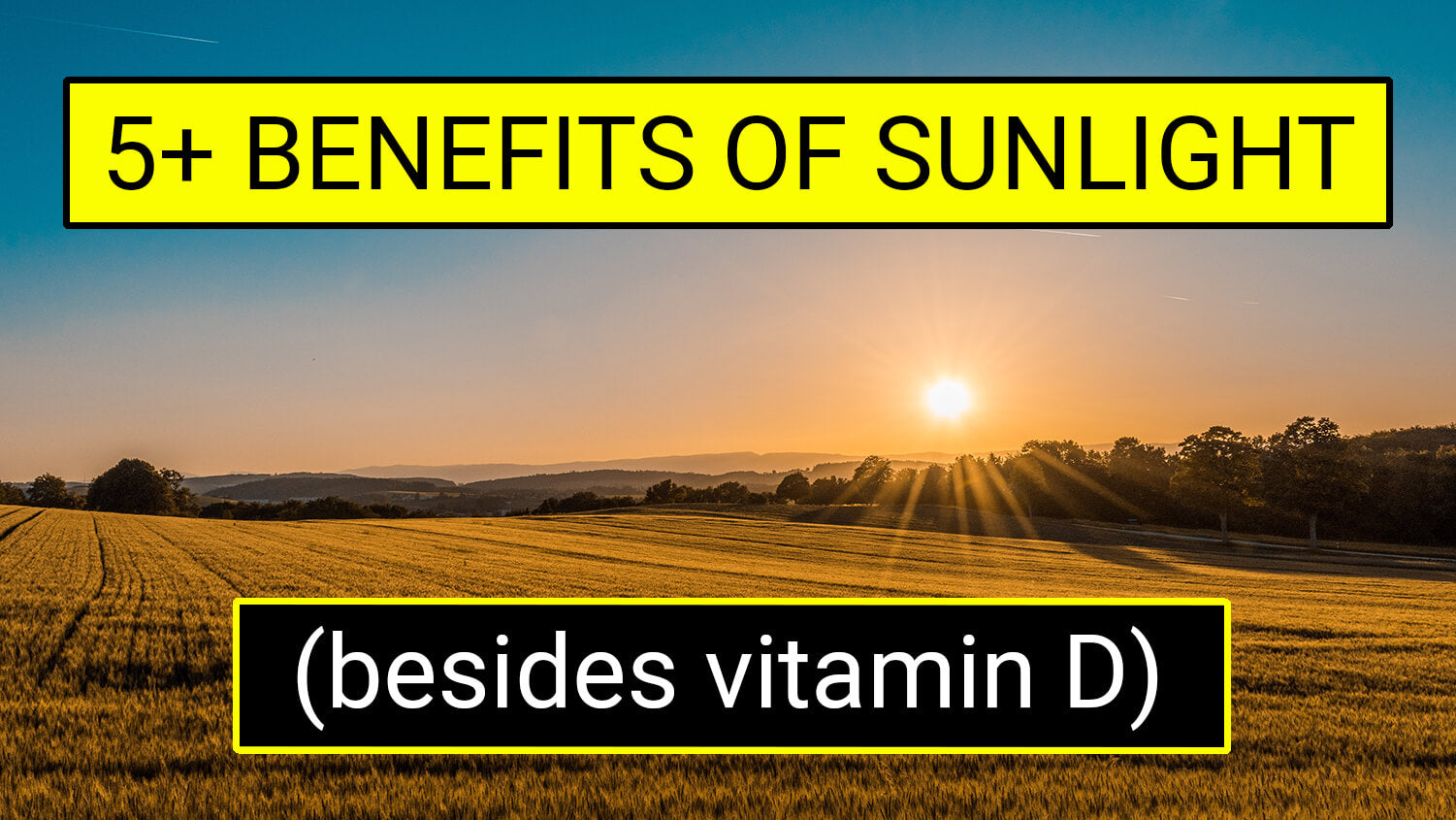 5+ Benefits Of Sunlight (Besides Vitamin D)